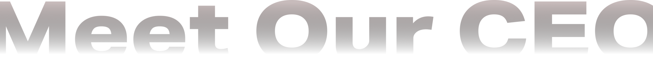 Home page 5 Meet Our CEO